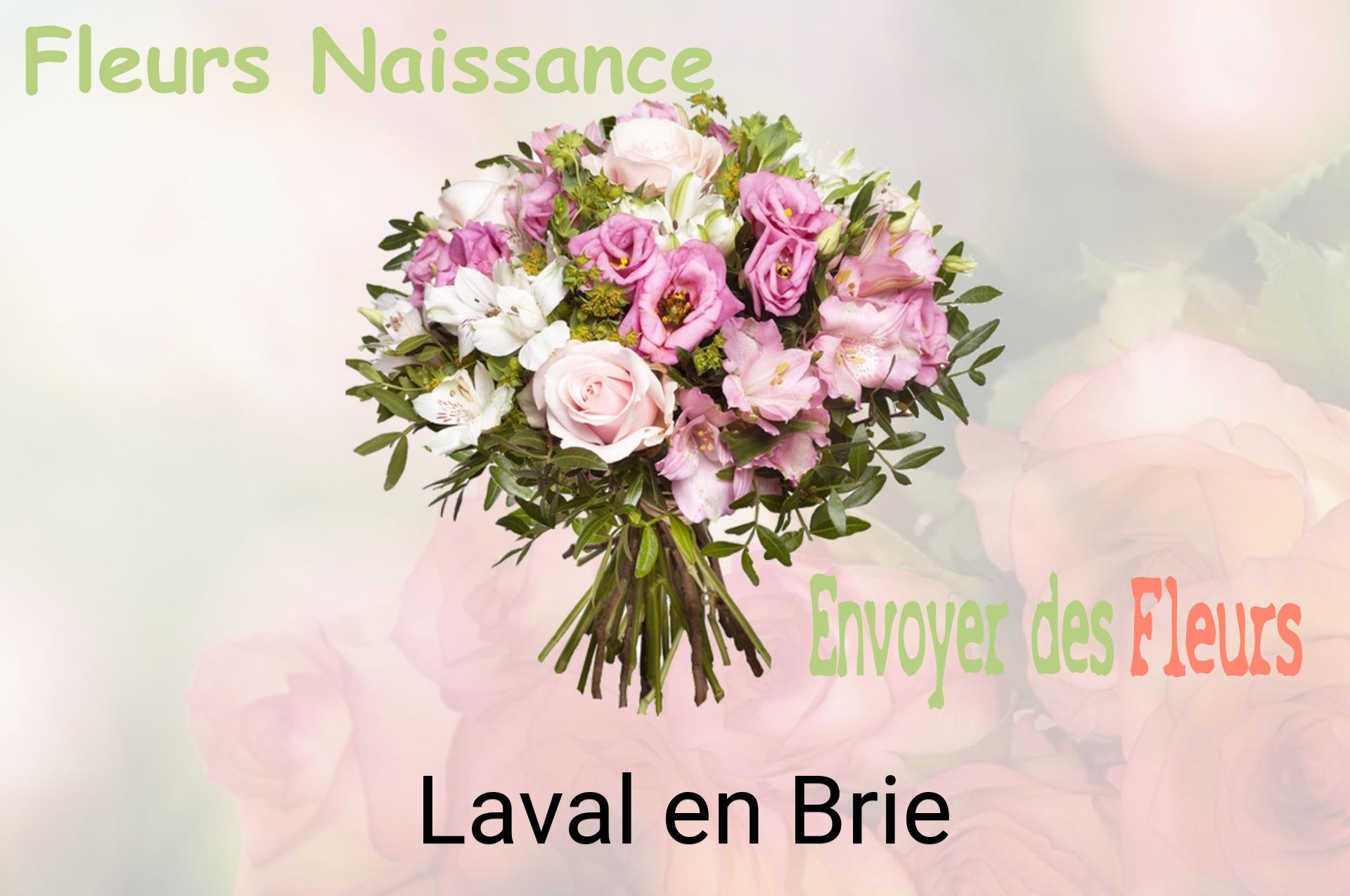 Bouquet de fleurs de naissance livré à Laval-en-Brie